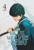 BLUE WOLVES OF MIBU BLUE MIBURO VOL 04 TP [9798888770863]